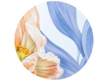 Meissen Limitierte Meisterwerke Wandbild "Giant Bloom I" Ø 30 cm – Porzellanwaren Sonstige Accessoires aus Porzellan.