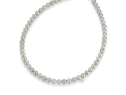 Gellner Akoya Nova Perlenchoker mit grauen Akoya-Zuchtperlen – Halsschmuck Perlenchoker