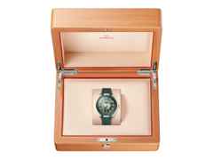 Omega Seamaster Aqua Terra 150M Automatik Edelstahl 43mm grünes Zifferblatt grünes Kautschukband – Herrenuhren Uhr mit Datum aus 750 Gelbgold, Edelstahl, Kautschuk und Keramik. Das Gehäuse ist rund und silber. Das Kautschuk / Kunststoff / Silikon Armband ist grün. Das Zifferblatt ist ein Index in grün. – Ansicht 6