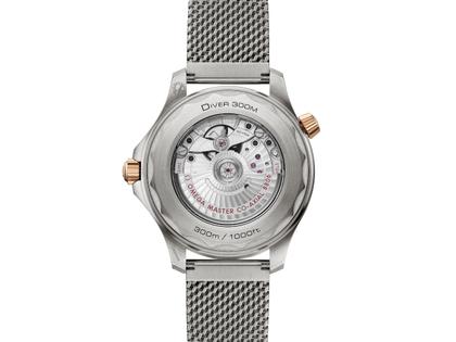 Omega Seamaster Diver 300M Automatik Titan 42mm grünes Zifferblatt Metallband – Herrenuhren Uhr ohne Datum aus 375 Gelbgold, Aluminium, Bronze und Titan. Das Gehäuse ist rund und silber. Das Edelstahlarmband ist silber. Das Zifferblatt ist ein Index in grün. – Ansicht 2