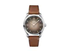 Omega Seamaster Railmaster Automatik Edelstahl 38mm braunes Zifferblatt braunes Lederband – Herrenuhren Uhr ohne Datum aus Edelstahl. Das Gehäuse ist rund und silber. Das Lederarmband ist braun. Das Zifferblatt ist arabisch Index und braun.
