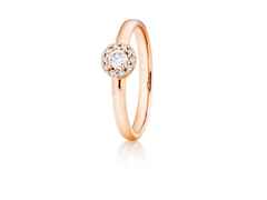 Capolavoro Magnifico Innenring Roségold mit Brillantrosette – Ringe Ring mit Besatz aus 750 Rotgold.