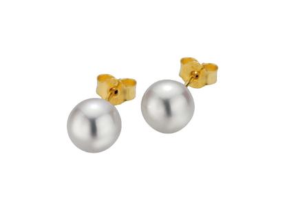 Gellner Young Basics Ohrstecker Gelbgold mit Zuchtperle – Ohrschmuck Ohrstecker aus 585 Gelbgold.
