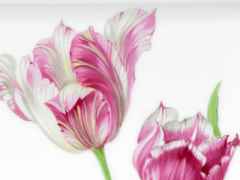 Meissen Vide-Poche  groß "Tulpen" – Porzellanwaren Porzellandekoration in weiß und aus Porzellan. – Ansicht 2