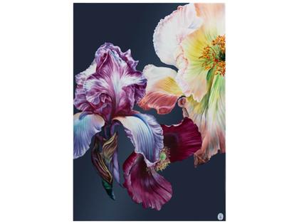 Meissen Limitierte Meisterwerke Wandbild Giant Bloom "Iris & Mohn" 51 x 75 cm – Porzellanwaren Sonstige Accessoires aus Porzellan.