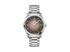 Omega Seamaster Railmaster Automatik Edelstahl 38mm braunes Zifferblatt Metallband – Herrenuhren Uhr ohne Datum aus Edelstahl. Das Gehäuse ist rund und silber. Das Edelstahlarmband ist silber. Das Zifferblatt ist arabisch Index und braun.
