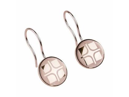 Ernstes Design E325 Ohrhaken – Ohrschmuck Ohrhänger aus Edelstahl und und vergoldet.