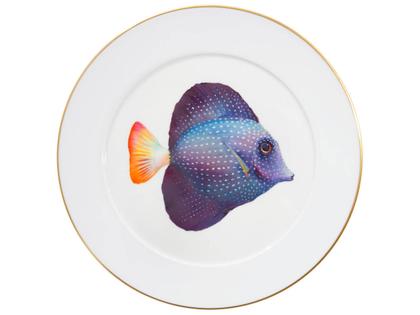 Meissen Limitierte Meisterwerke Wandteller "Mauritius Segelflossen-Doktorfisch" – Porzellanwaren Sonstige Accessoires aus Porzellan.