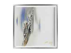 Meissen Platte 25 x 25 cm Juwelier Roller Art Edition "Christian Lang, Im Visier" mit Platinrand limitiert – Porzellanwaren Tafelporzellan in weiß und aus 950 Platin, Porzellan und vergoldet.