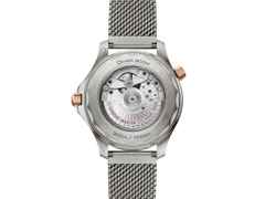 Omega Seamaster Diver 300M Automatik Titan 42mm grünes Zifferblatt Metallband – Herrenuhren Uhr ohne Datum aus 375 Gelbgold, Aluminium, Bronze und Titan. Das Gehäuse ist rund und silber. Das Edelstahlarmband ist silber. Das Zifferblatt ist ein Index in grün. – Ansicht 2