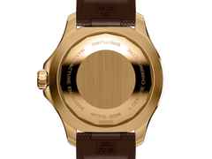 Breitling Superocean Automatic 44 Bronze braunes Zifferblatt braunes Kautschukband – Herrenuhren Uhr ohne Datum aus Bronze und Keramik. Das Gehäuse ist rund und roségold. Das Kautschuk / Kunststoff / Silikon Armband ist braun. Das Zifferblatt ist ein Index in braun. – Ansicht 2