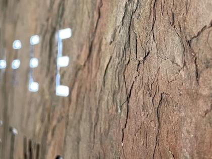 Qlocktwo Earth 45 Creator's Edition Glintscape mit weiß lackiertem Holz – Großuhren Wanduhr aus Sonstiges. Das Gehäuse ist quadratisch und weiß. Das Zifferblatt ist digital und braun. – Ansicht 2