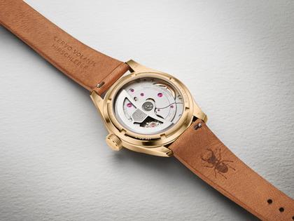 Oris Big Crown Wings of Hope Limited Edition Automatik Gelbgold 38mm weißes Zifferblatt braunes Lederband – Herrenuhren Uhr ohne Datum aus 750 Gelbgold und Leder. Das Gehäuse ist rund und gelbgold. Das Lederarmband ist braun. Das Zifferblatt ist arabisch und weiß. – Ansicht 3
